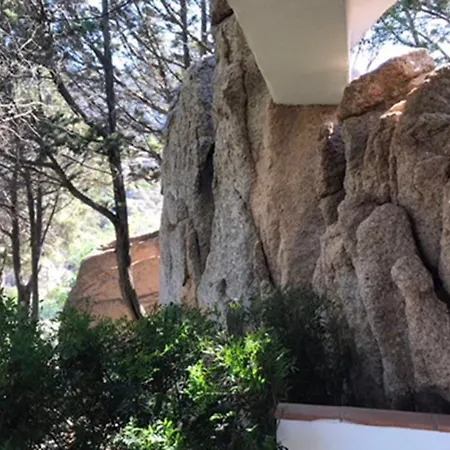 Juniper View,