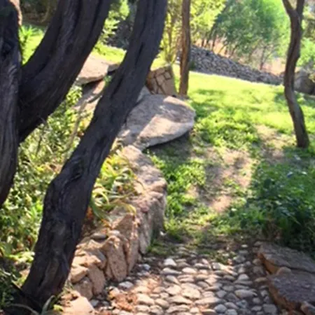 Juniper View, *